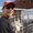 Photo of Jase G.