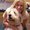 Photo of Laraine T.