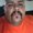 Photo of Roberto P.