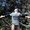 Photo of Aditya S.