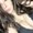 Photo of Ana M.