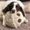 Photo of Pinky K.