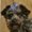 Photo of Piper P.
