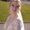 Photo of Carly H.