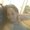 Photo of Maribel R.