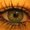 Photo of Mira C.