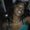 Photo of Chiquita J.
