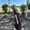 Photo of Kirsten C.