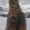 Photo of Fredericka V.