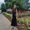 Photo of Erina K.