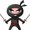 Photo of Black Ninja E.