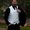 Photo of Jason G.
