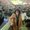 Photo of Kiara C.