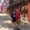 Photo of Madi A.