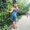 Photo of Samia S.