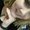 Photo of Aimee L.