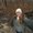 Photo of Sarah K.