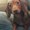 Photo of Ileana P.