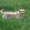 Photo of Qype User (Sweetp…)