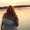 Photo of Maddy L.