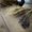 Photo of Oh I.