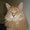 Photo of Qype User (KleinE…)
