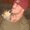 Photo of Craig S.