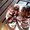 Photo of Paresh M.