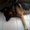 Photo of Numaira S.