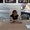 Photo of Tina S.
