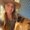 Photo of Kelly T.