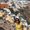 Photo of Aditi R.