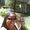 Photo of Laura B.
