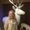 Photo of Linda D.