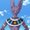 Photo of Beerus S.