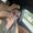 Photo of Lorena V.