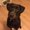 Photo of Tiny V.