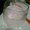 Photo of Kashif M.