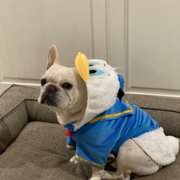 google avatar