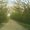 Photo of Joyce R.