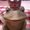 Photo of Frosch K.