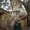 Photo of Qype User (prodes…)