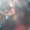 Photo of Sheema K.