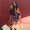 Photo of Arianna G.