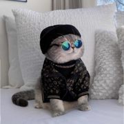 google avatar