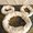 Photo of Deidre M.