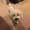 Photo of Candy S.