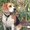 Photo of tabitha n.