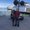 Photo of Karlita G.