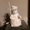 Photo of Snowpuff H.
